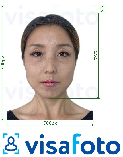 写真の例 中国APECビジネストラベルカード300×400ピクセル 正確なサイズ仕様に
