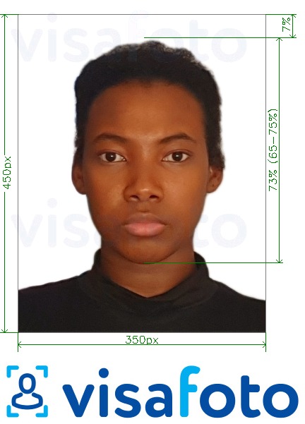 写真の例 ナイジェリアオンラインビザ200-450ピクセル 正確なサイズ仕様に